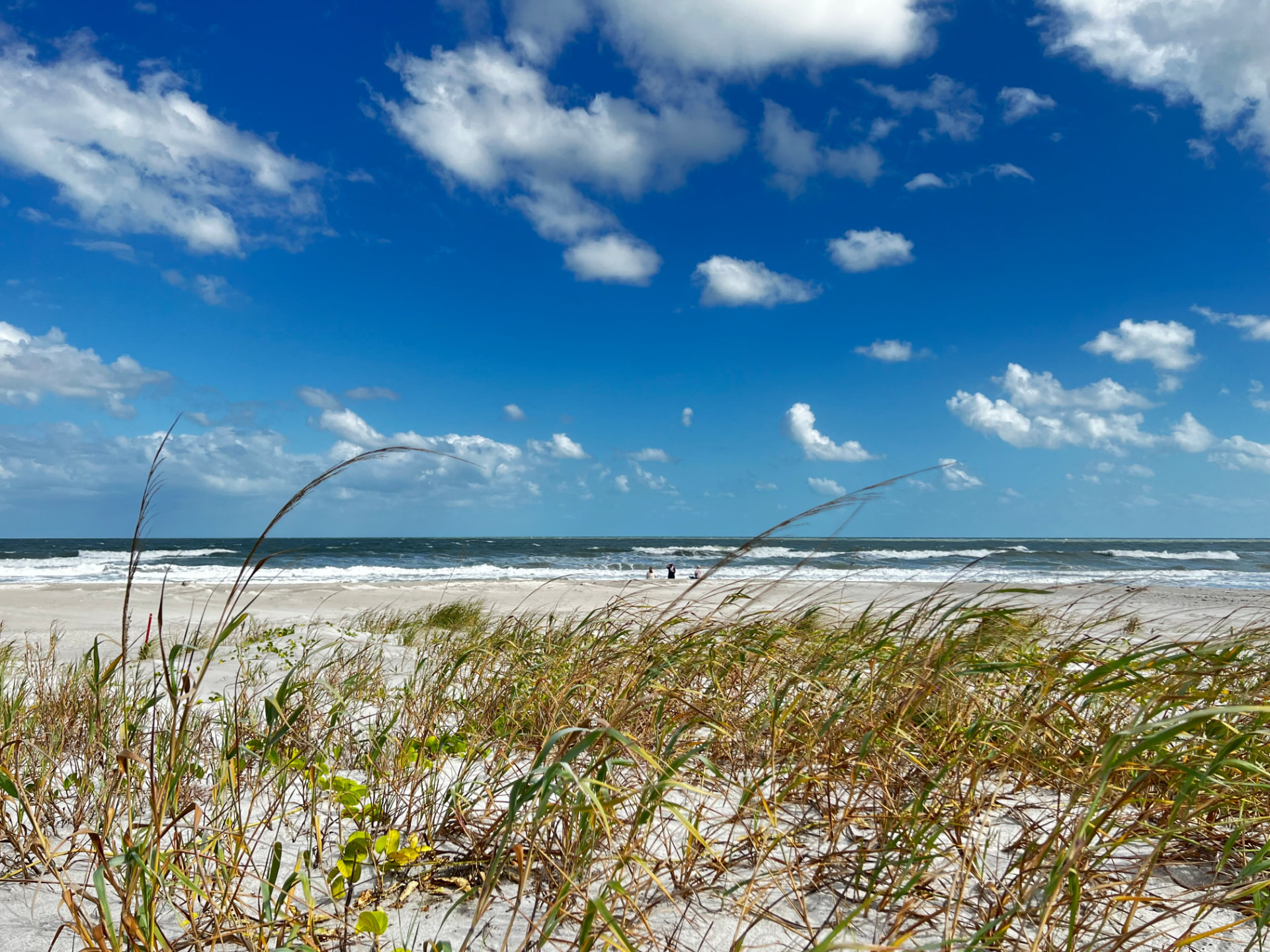 Amelia Island beach