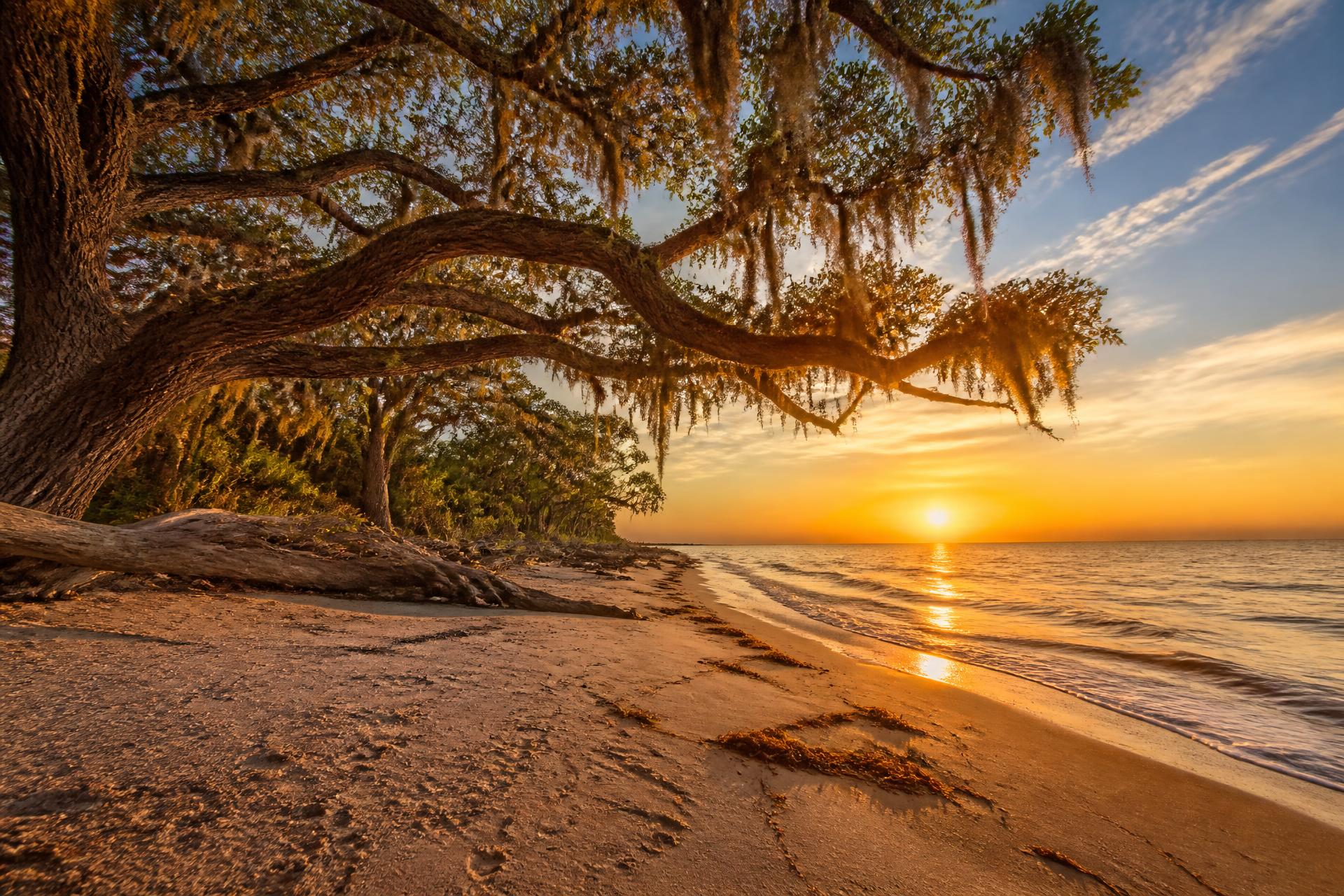 Sunset over an Amelia Island beach framed by moss-draped live oaks